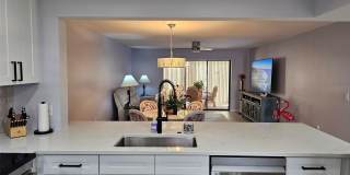 153 WILD PALM Drive Gallery 7