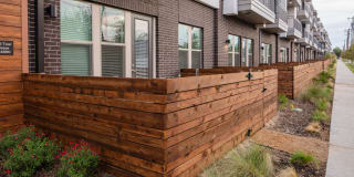 Magnolia at West Lemmon Gallery 6