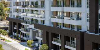 Elements Gallery 141