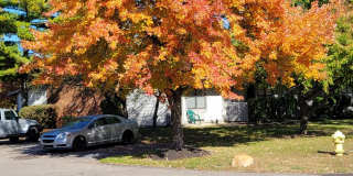 Waterbury Estates Gallery 7