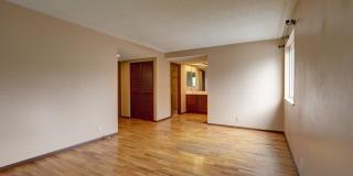 Bright spacious 4-bedroom 2.5 bath home in Bellevue Gallery 13