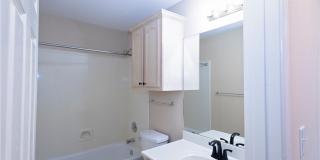 13702 Seahorse Gallery 23