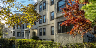 Hamilton Road Apartments Gallery 2