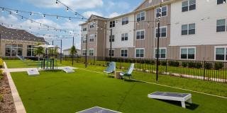 Allora New Forest Gallery 21