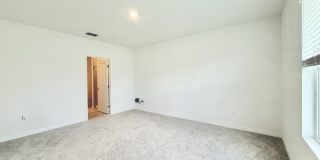 641 Bald Cypress Drive Gallery 44