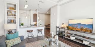 Mark at West Midtown Gallery 1