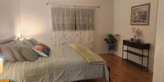 520 Palm Springs Boulevard unit: 503 Gallery 11