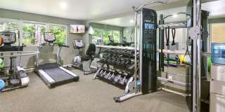 Vista Ridge Gallery 15