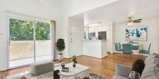 The Terrace Apartments Gallery 73