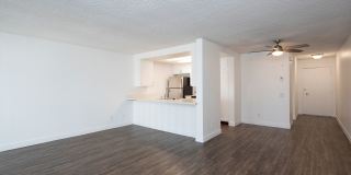 The Pacific at Mission Bay Gallery 24