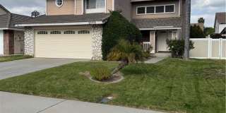 23708 Cork Oak Gallery 1