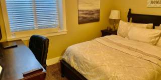 Totally renovated, pet-friendly, 4 bed / 2 bath near Alameda and Ammon Parks Gallery 1