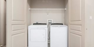 RIZE at Winter Springs Gallery 173