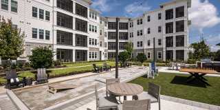 Northhaven Gallery 20