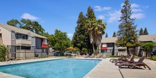 Veranda at the Park Veranda at the Park Gallery 14