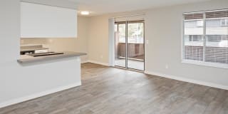 Somerset Terrace Gallery 2