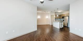 RIZE at Winter Springs Gallery 139