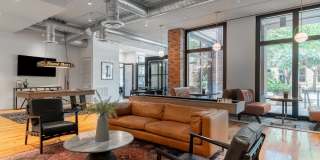 Can Plant Gallery 4