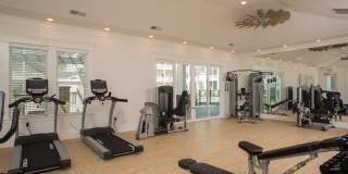 Waterleaf at Murrells Inlet Gallery 12