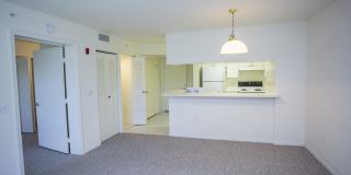 Heron Pond - 55+ Apartments Gallery 18