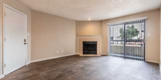 Rise on Cactus Gallery 61