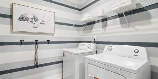 Skymor Panola Gallery 20