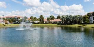 Citra at Windermere Gallery 50