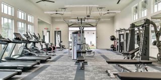 LEO at Flint Crossing Gallery 16