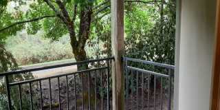 Downing Hills Gallery 8