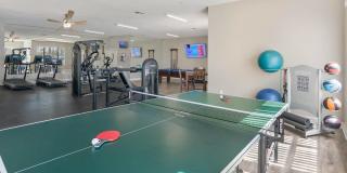The Colony Apartments Gallery 14