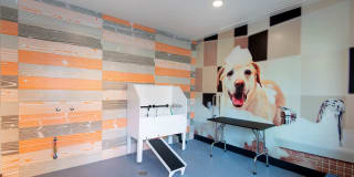 Lane Gallery 45
