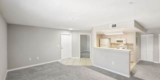 Coral Cove Gallery 11