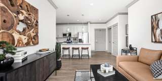 The Steadman Apartments Gallery 19