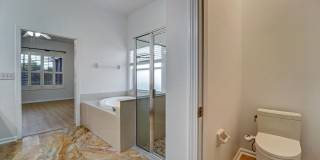 19111 Fern Meadow Loop Gallery 18