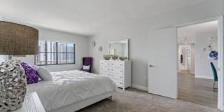 Marina Del Mar Gallery 14