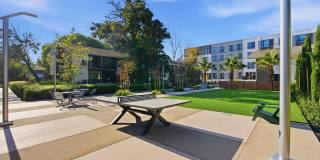 Lorien Ivy Apartments Gallery 34