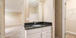 5864 Whitebark Pine Trail Gallery 15