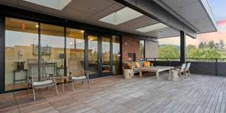 The Fifty at Division Gallery 25