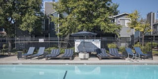 Cypress Creek Gallery 26