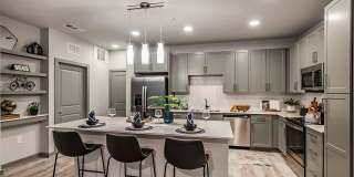 The Aston at Town Center Gallery 18