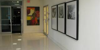 5701 Collins Ave Gallery 30