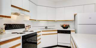 Riverwalk Gallery 32