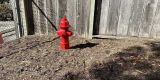 Marina Crescent Gallery 8