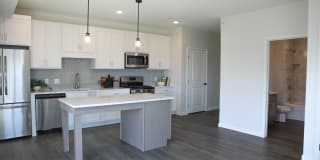 Arris Blaine Gallery 4