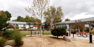 The Element The Element Gallery 15