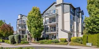 Sofi at Cedar Mill Gallery 37