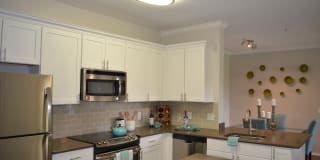 TGM Bay Isle Gallery 3