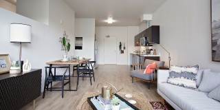 Attwell off Main Gallery 16