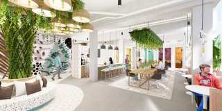 The Spruce Gallery 2