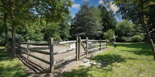 Goshen Manor Gallery 21